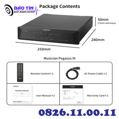 DAC MUSICIAN PEGASUS III R2R